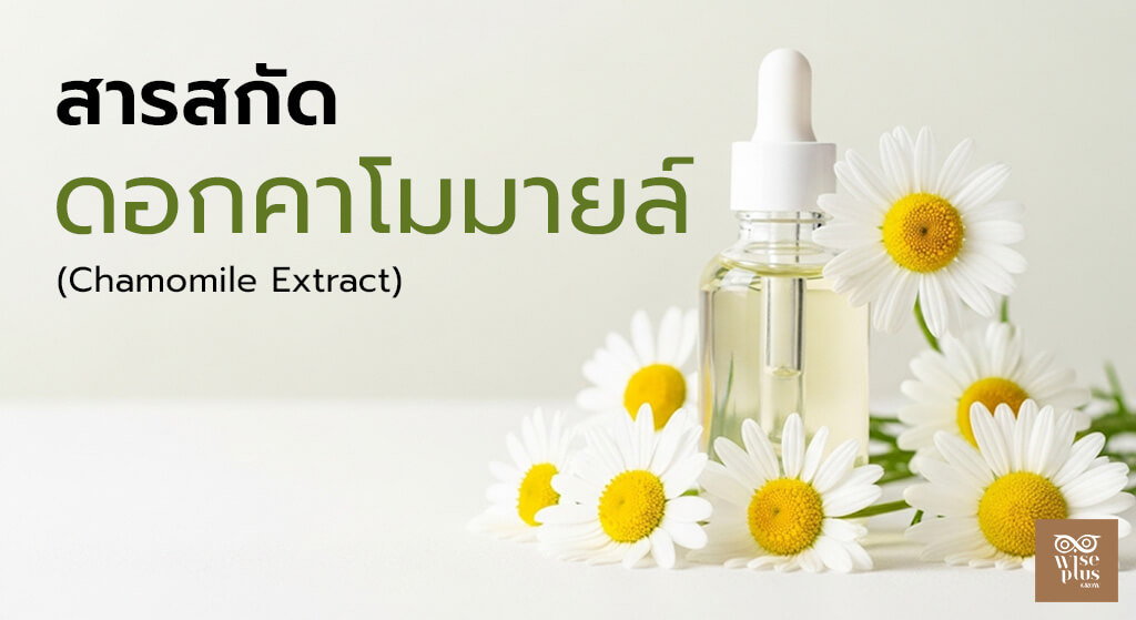 สารสกัดดอกคาโมมายล์ในเซรั่มบำรุงผิวสูตรอ่อนโยน