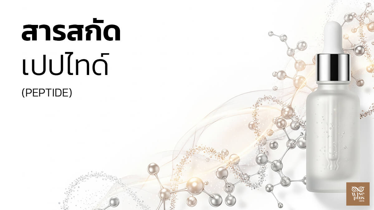เซรั่มเปปไทด์บำรุงผิวอ่อนเยาว์และกระชับ