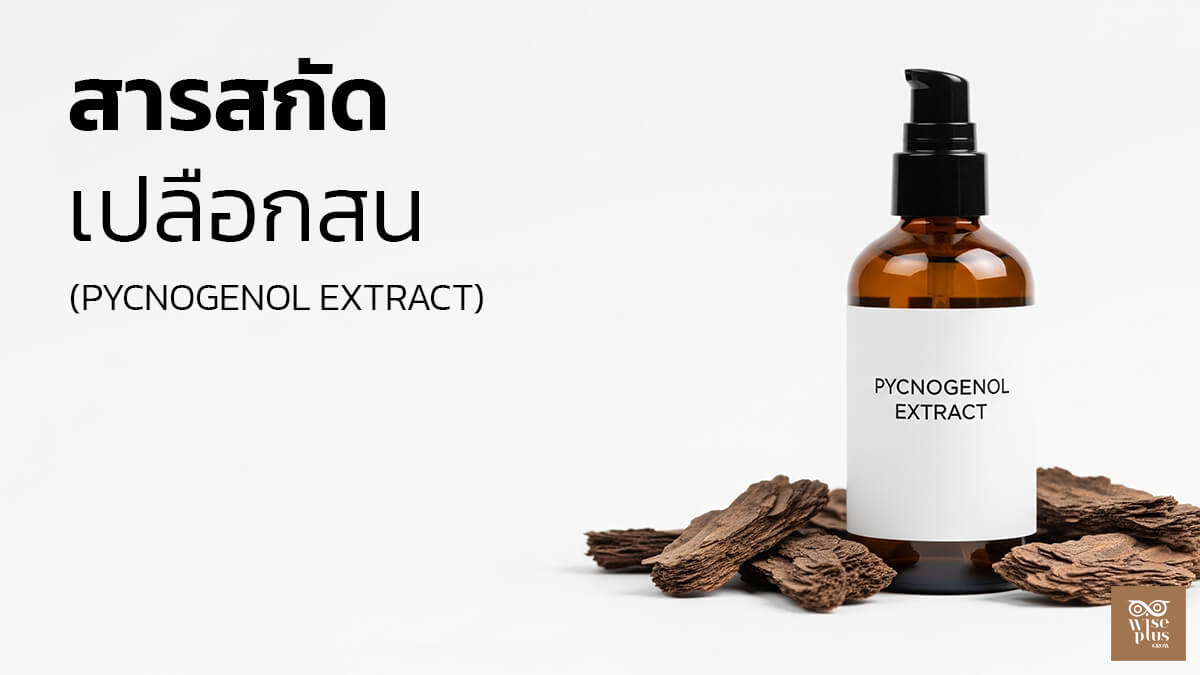 สารสกัดเปลือกสน Pycnogenol เพื่อผิวกระชับชุ่มชื้น