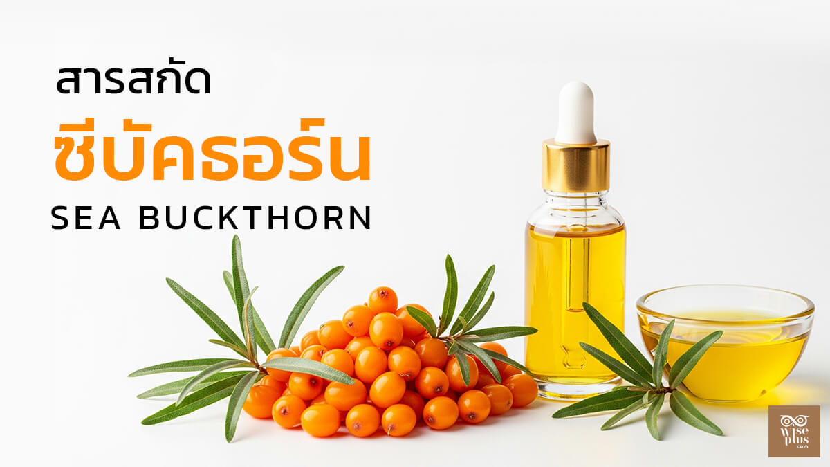 ซีบัคธอร์นสารสกัดสกินแคร์บำรุงผิวกระจ่างใส