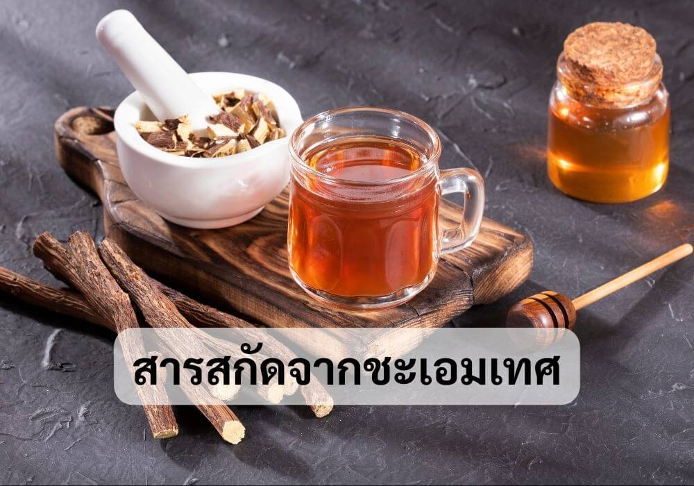 สารสกัดจากชะเอมเทศ