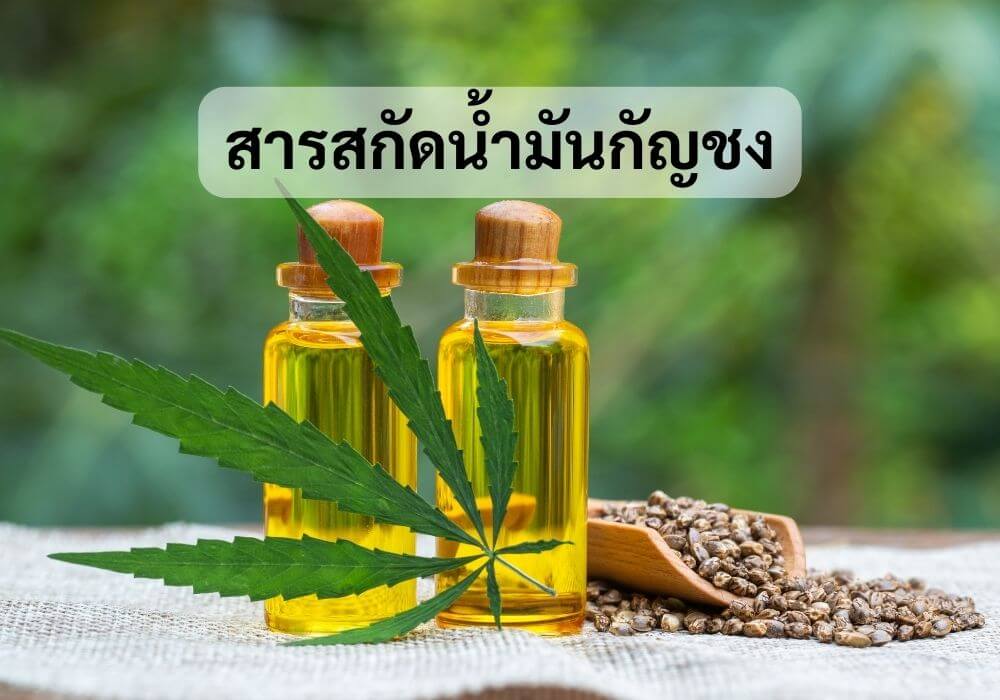 สารสกัดน้ำมันกัญชง