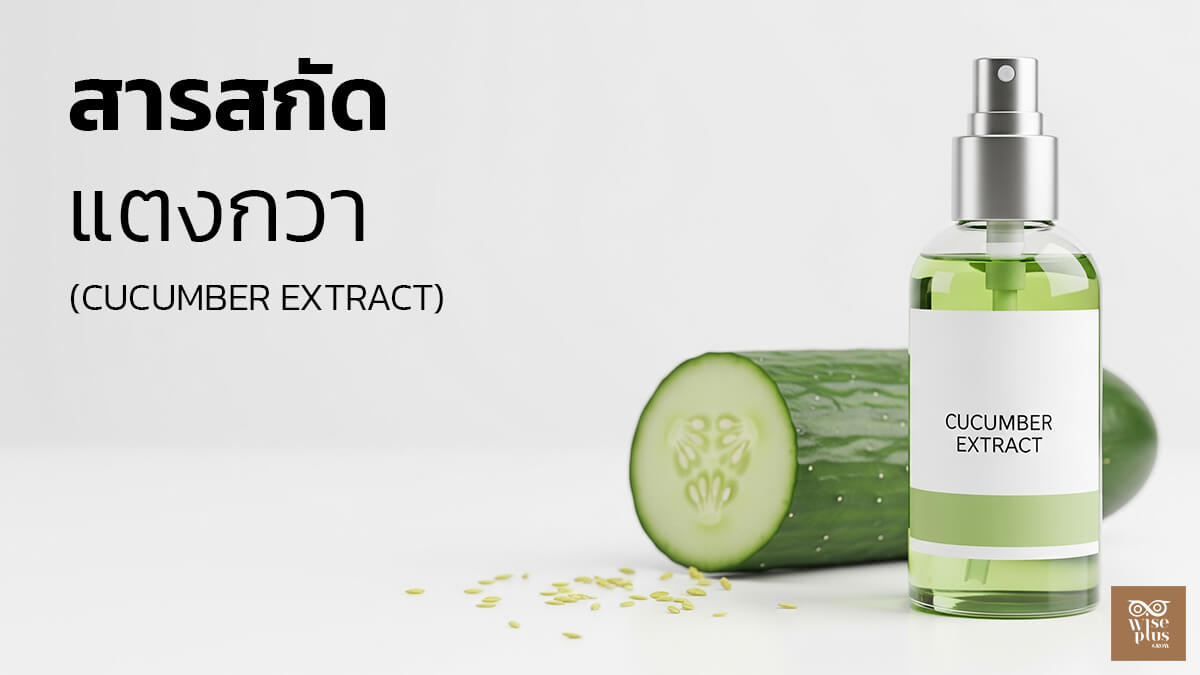 ขวดสกินแคร์จากสารสกัดแตงกวาพร้อมผลแตงกวาตกแต่ง