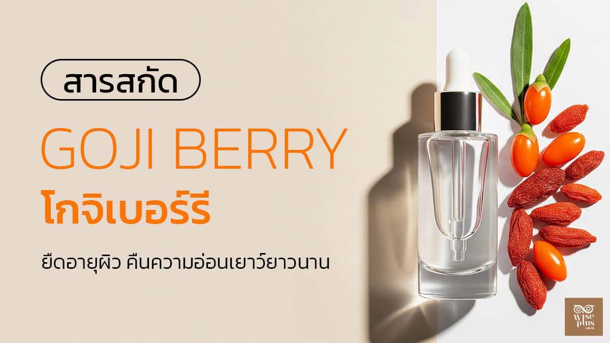 โกจิเบอร์รียืดอายุผิวในสกินแคร์