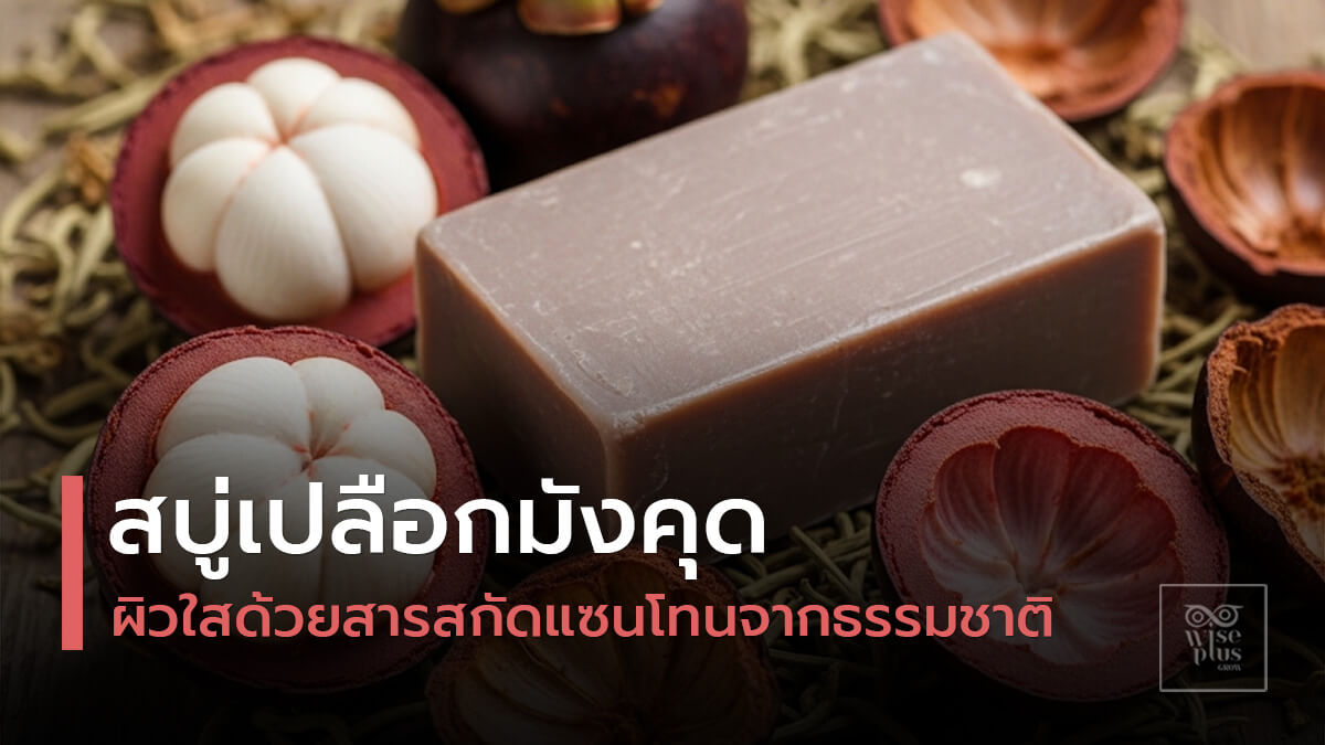 สบู่เปลือกมังคุดธรรมชาติสำหรับลดสิวและควบคุมความมัน