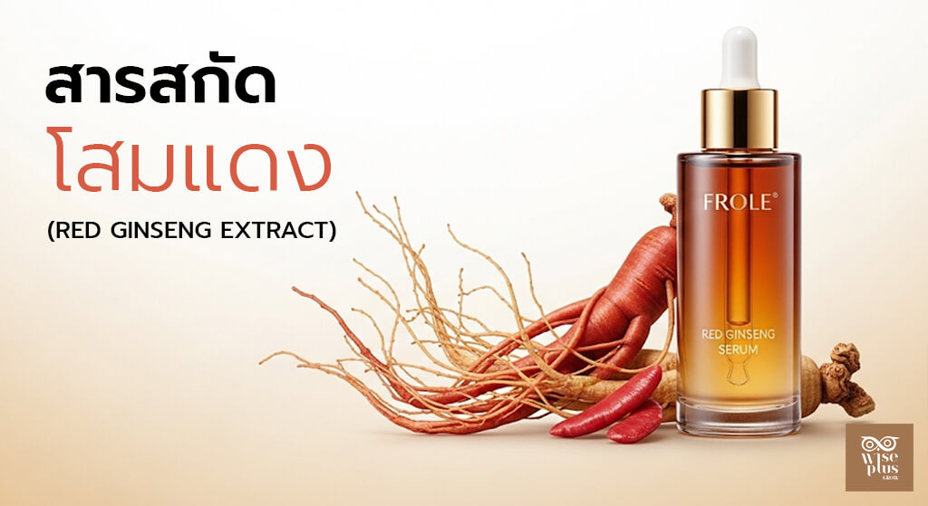 สารสกัดโสมแดงในขวดเซรั่มพรีเมียมสำหรับบำรุงผิวหน้า