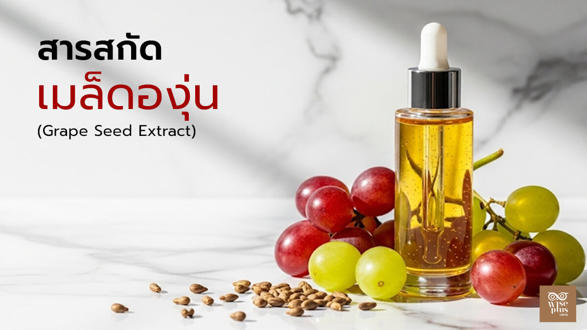 สารสกัดเมล็ดองุ่นสำหรับฟื้นฟูผิวคล้ำเสีย