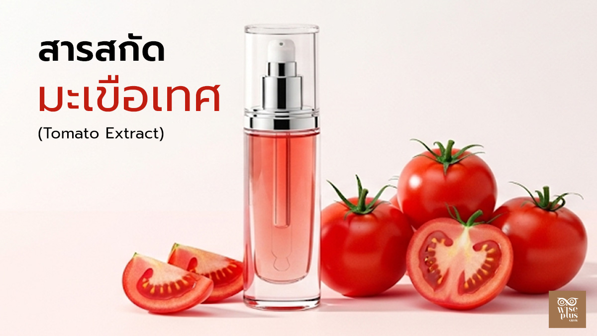 สารสกัดมะเขือเทศ (Tomato Extract) สำหรับสกินแคร์ ลดสิว ริ้วรอย และบำรุงผิวอย่างเป็นธรรมชาติ