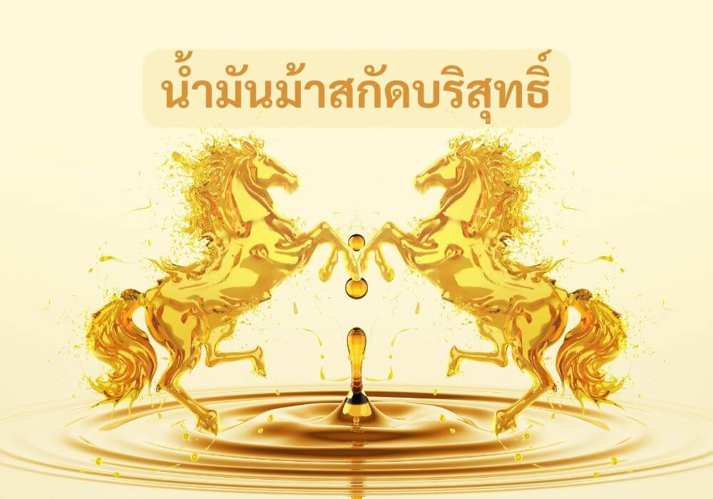 น้ำมันม้าสกัดบริสุทธิ์