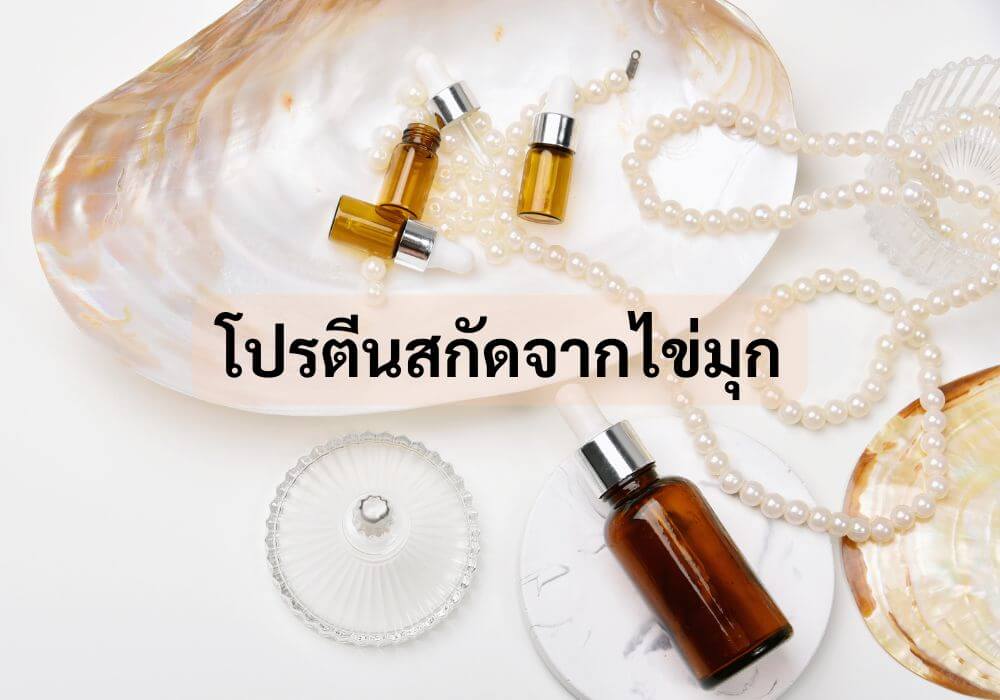 โปรตีนสกัดจากไข่มุก