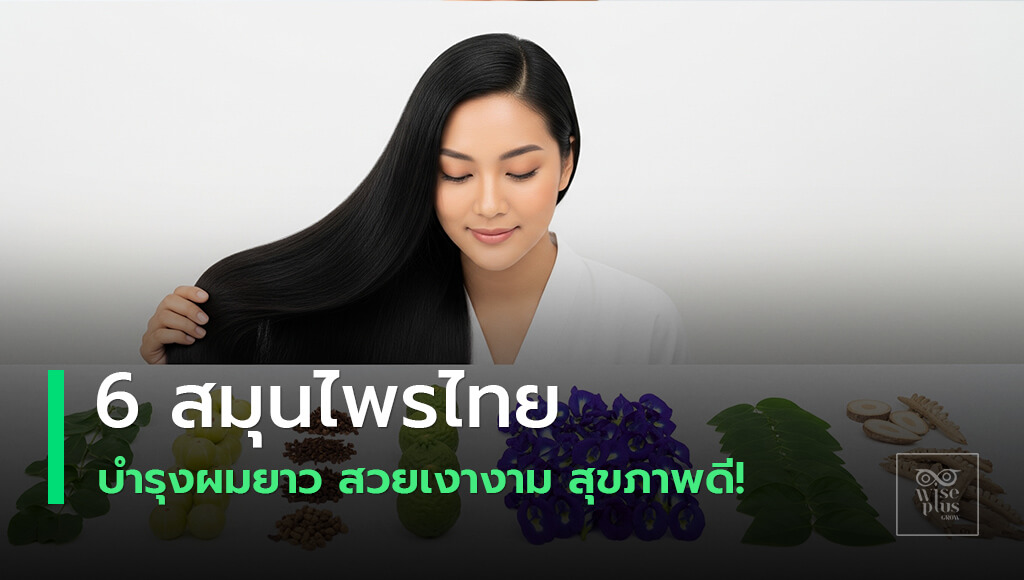 สมุนไพรบำรุงผมยาวสวยเงางาม