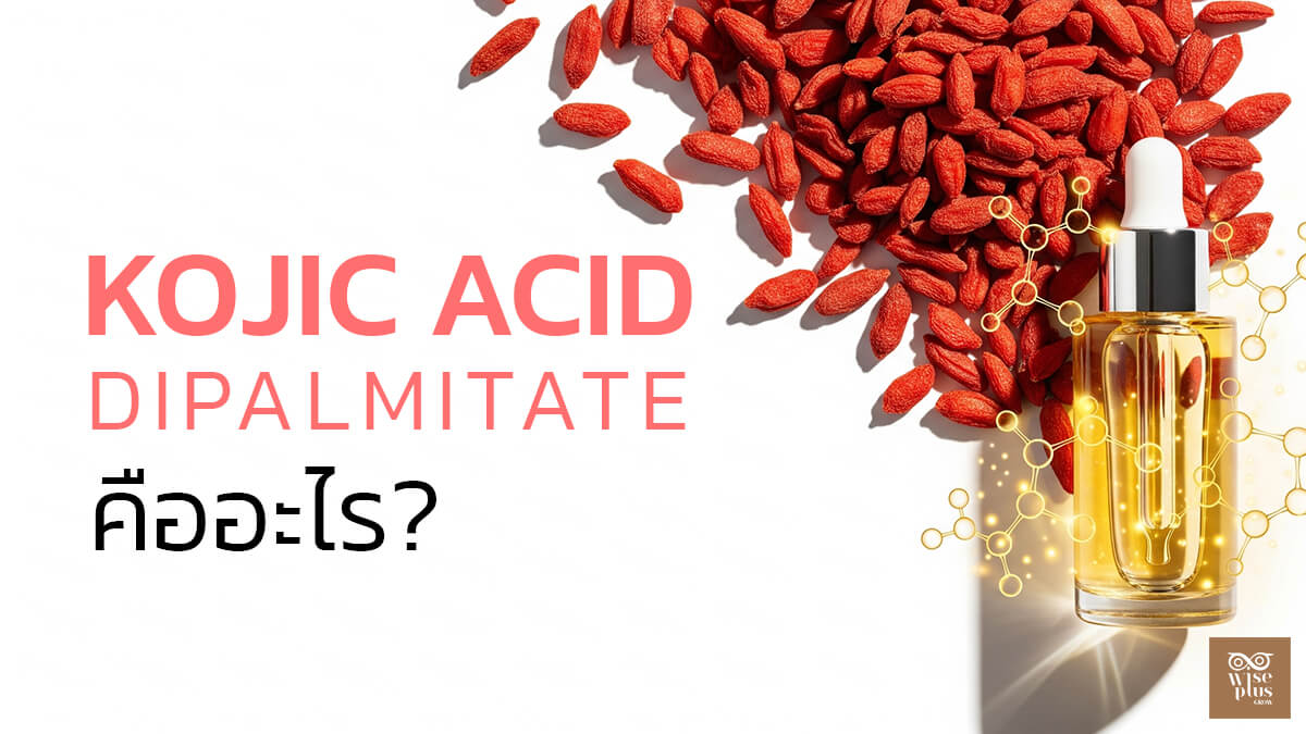 Kojic Acid Dipalmitate เพื่อผิวขาวใส