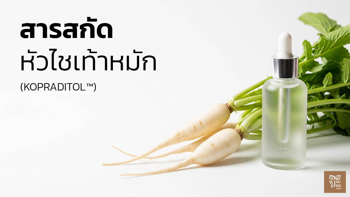 สารสกัดหัวไชเท้าหมักเพื่อดูแลผิวมันและเป็นสิว