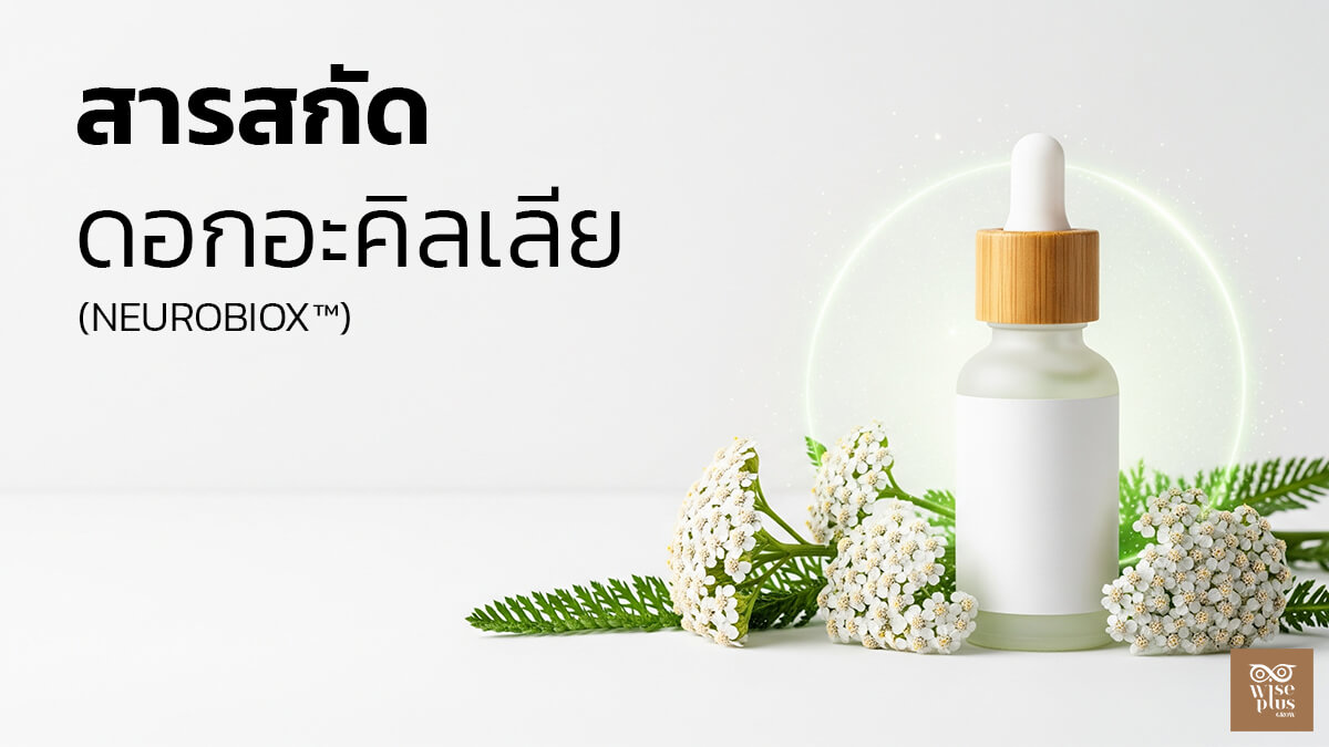 เซรั่มสารสกัดอะคิลเลีย มิลเลโฟเลียมผลัดเซลล์ผิวอย่างอ่อนโยน