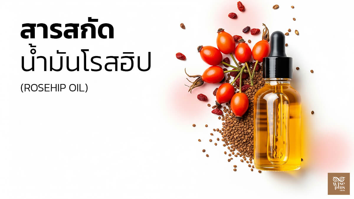 Rosehip Oil เติมชุ่มชื้นฟื้นบาเรียร์ผิว