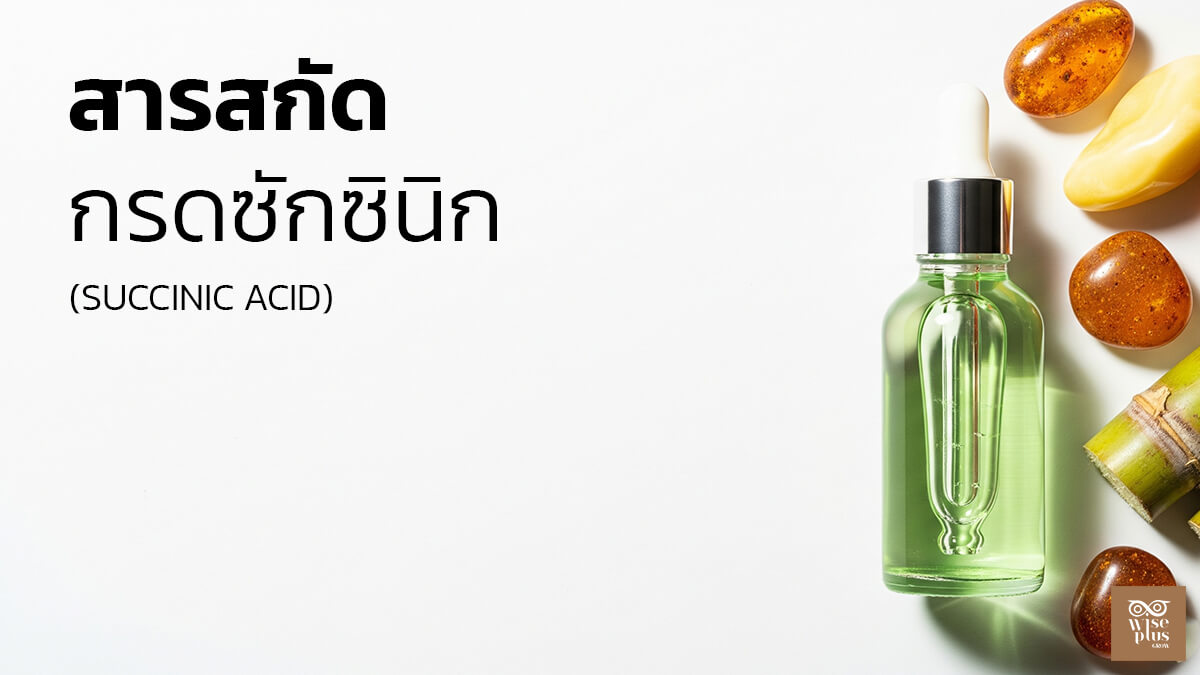 เซรั่ม Succinic Acid ลดสิวและควบคุมความมันอย่างอ่อนโยน
