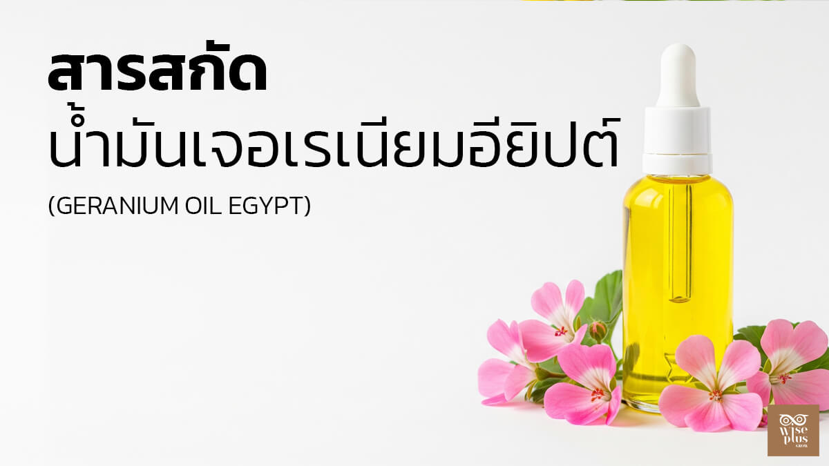 Geranium Oil Egypt น้ำมันเจอเรเนียมอียิปต์เพื่อผิวสวยใส