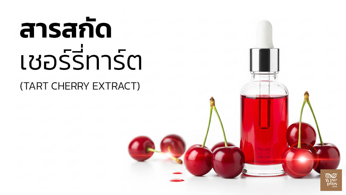 สารสกัดเชอร์รี่ทาร์ตเพื่อผิวใสและชุ่มชื้น