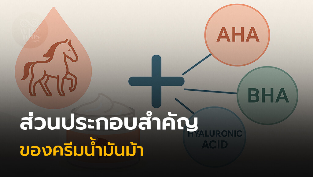 ส่วนผสมครีมน้ำมันม้า AHA BHA สำหรับสูตร OEM