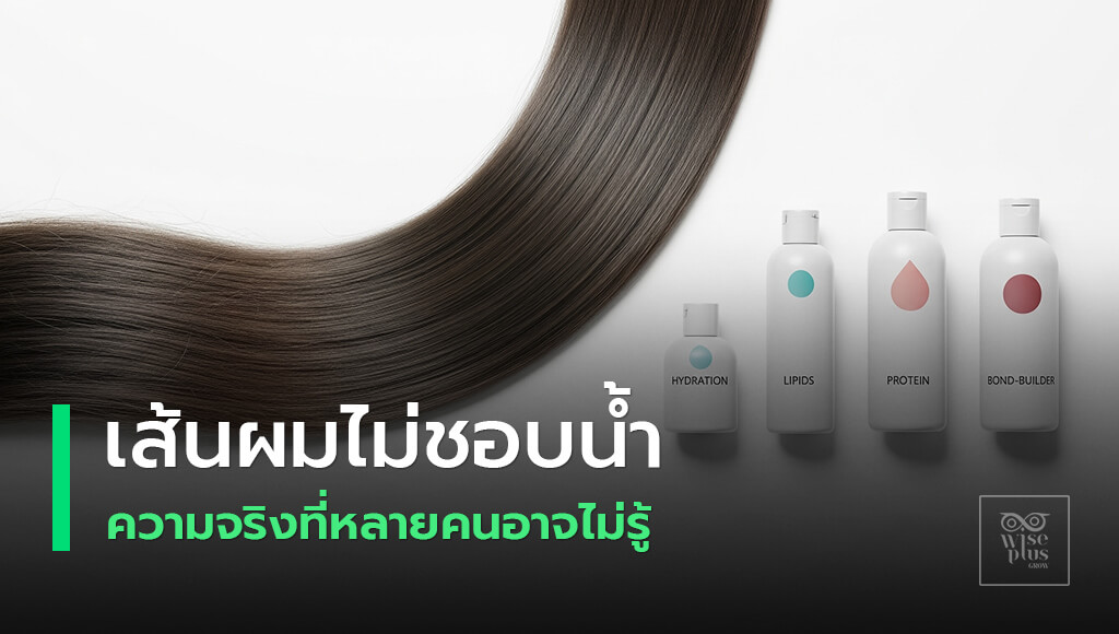 สมดุลน้ำไขมันโปรตีนและพันธะเพื่อผมสวยสุขภาพดี