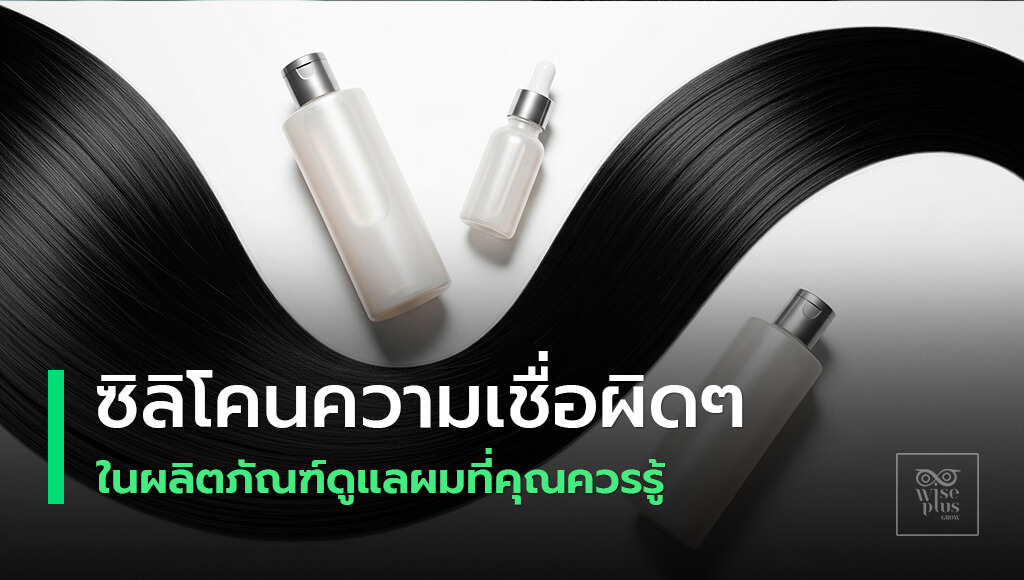 ซิลิโคนดูแลผมช่วยให้ผมลื่นเงาและปกป้องความร้อน