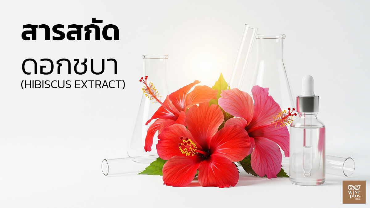 สารสกัดดอกชบาเพื่อผิวใสกระชับ