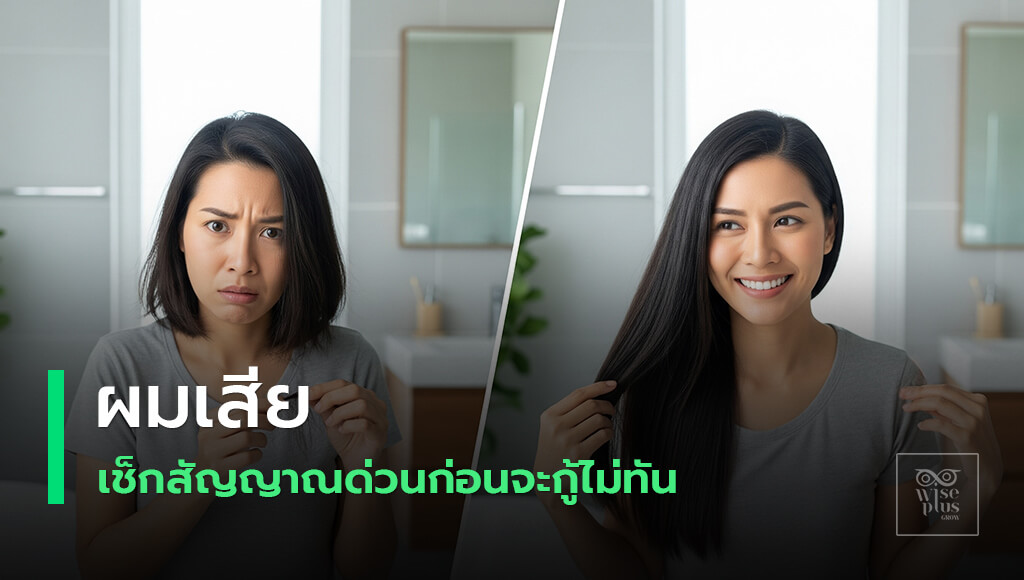 คู่มือกู้ผมเสียแบบเร่งด่วน