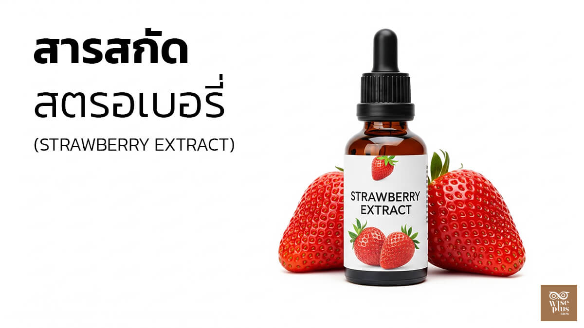 สารสกัดสตรอเบอรี่เพื่อผิวใสและบาเรียร์แข็งแรง