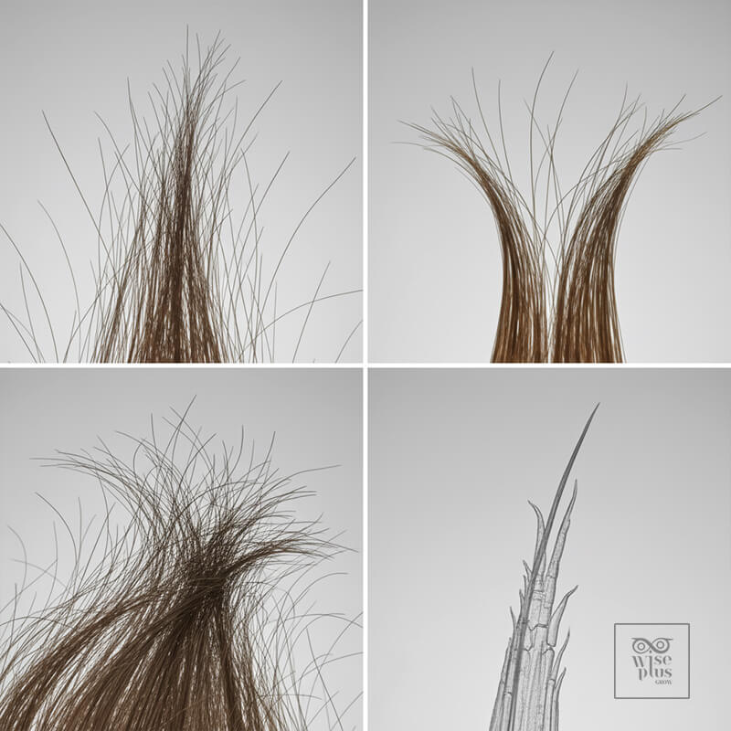 อาการผมเสียแห้งแตกฟูและปลายแตก