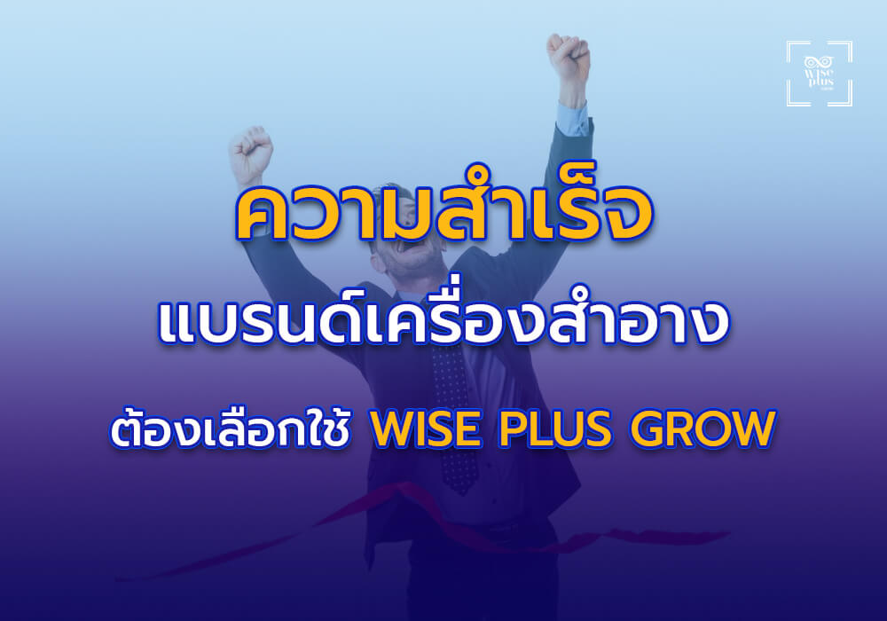 ความสำเร็จของแบรนด์ที่เลือกใช้บริการ Wise Plus Grow