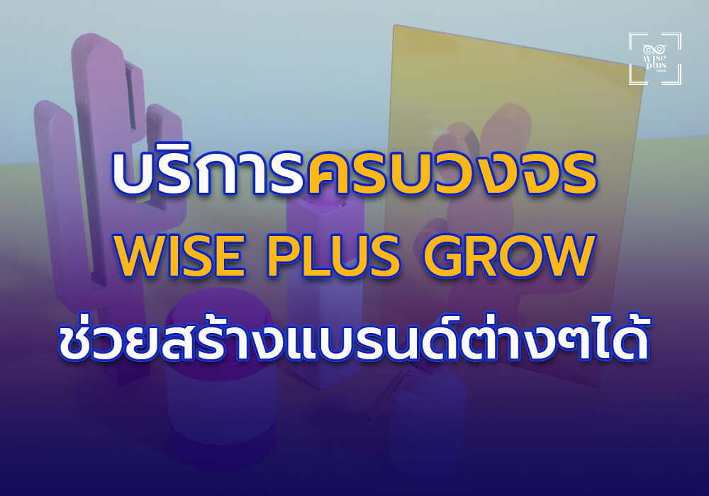 บริการครบวงจรจาก Wise Plus Grow เพื่อช่วย สร้างแบรนด์ต่างๆ