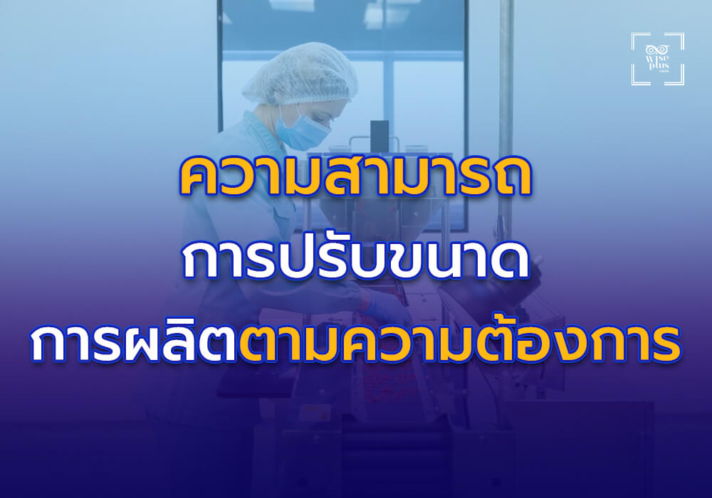 ความสามารถในการปรับขนาดการผลิตตามความต้องการ