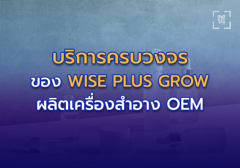 บริการครบวงจรของ Wise Plus Grow โรงงานผลิตเครื่องสำอาง OEM ชั้นนำของไทย