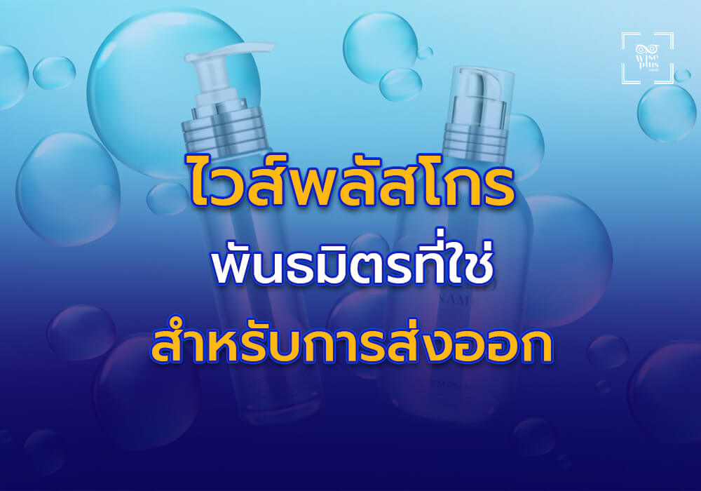 ไวส์พลัสโกร พันธมิตรที่ใช่สำหรับการส่งออกเครื่องสำอางไทย