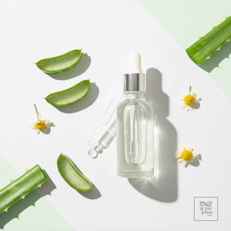 ว่านหางจระเข้และคาโมมายล์ช่วยปลอบประโลมหนังศีรษะ