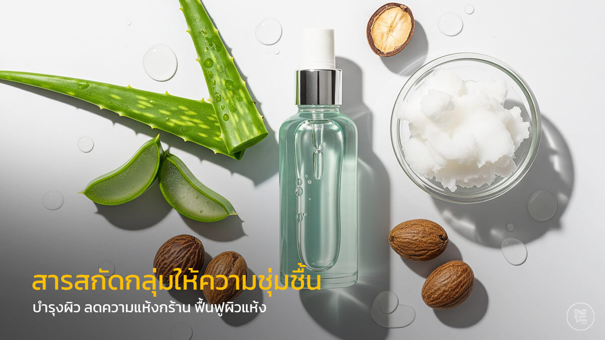 สารสกัดกลุ่มให้ความชุ่มชื้นเพื่อเติมน้ำและฟื้นฟูผิว