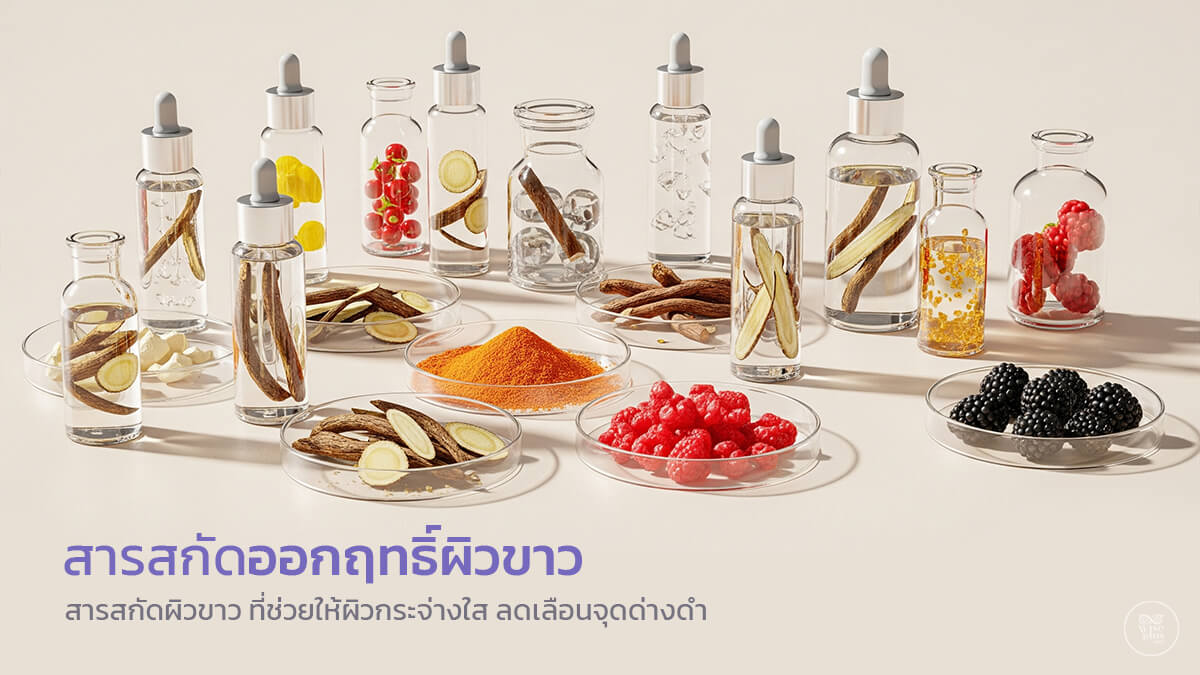 สารสกัดออกฤทธิ์ผิวขาวเพื่อการบำรุงผิวหน้าอย่างปลอดภัย