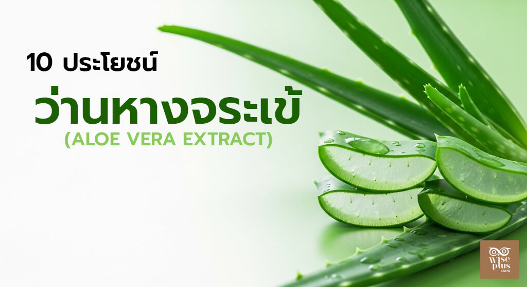 สารสกัดว่านหางจระเข้สำหรับสกินแคร์บำรุงผิว