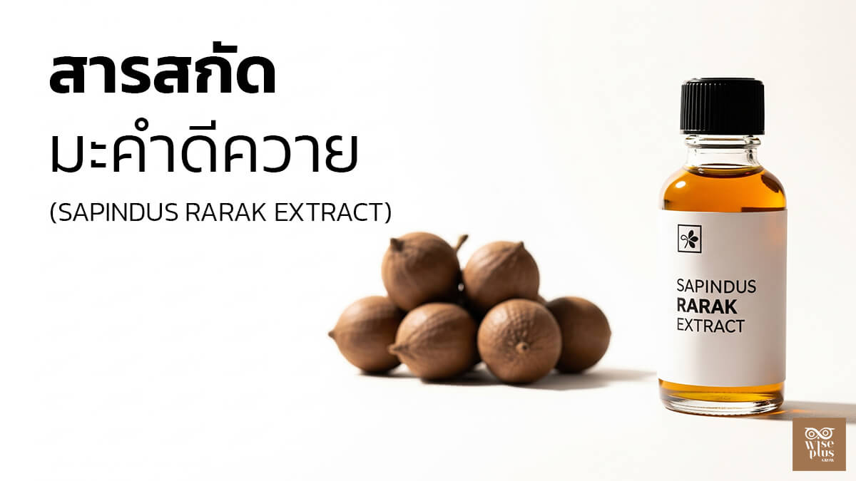 สารสกัดมะคำดีควายโฟมธรรมชาติทำความสะอาดผิว