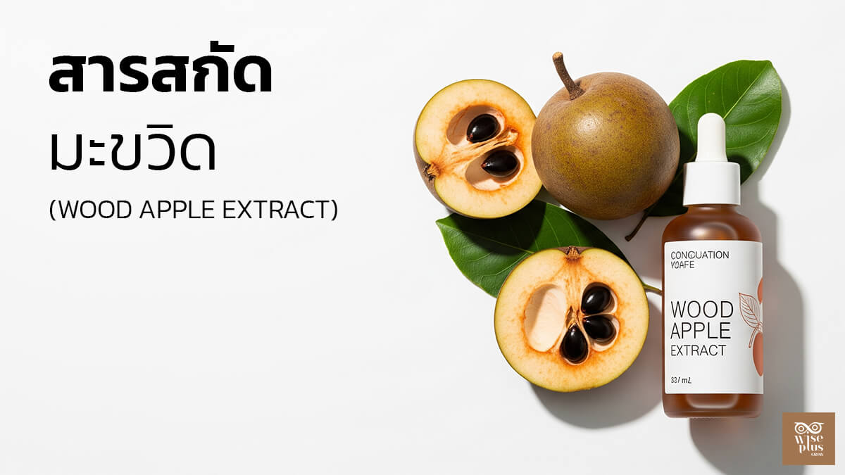 สารสกัดมะขวิดในสกินแคร์เพื่อผิวกระจ่างใส